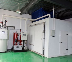 氣調(diào)庫(kù)